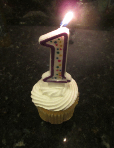 My First Blogiversary!