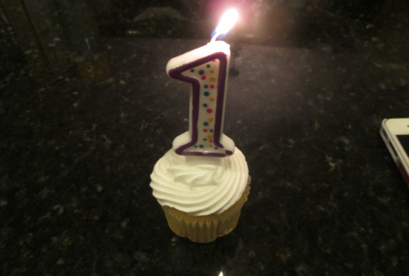 My First Blogiversary!