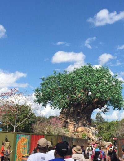 The Happiest Place On Earth