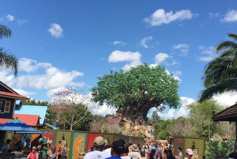 The Happiest Place On Earth