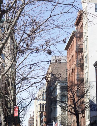 72 Hours in NYC: A Travel Guide - Jordan Taylor C