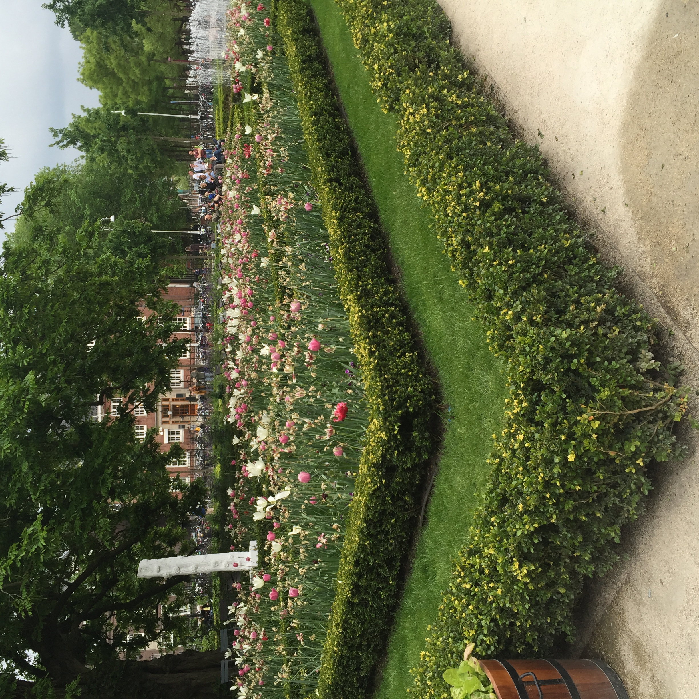 The Hat Logic - Amsterdam Travel Guide: Accommodation, Activities, & More!