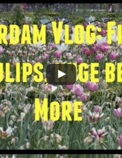 Amsterdam Vlog: Finding the Tulips, Huge Beds, More!