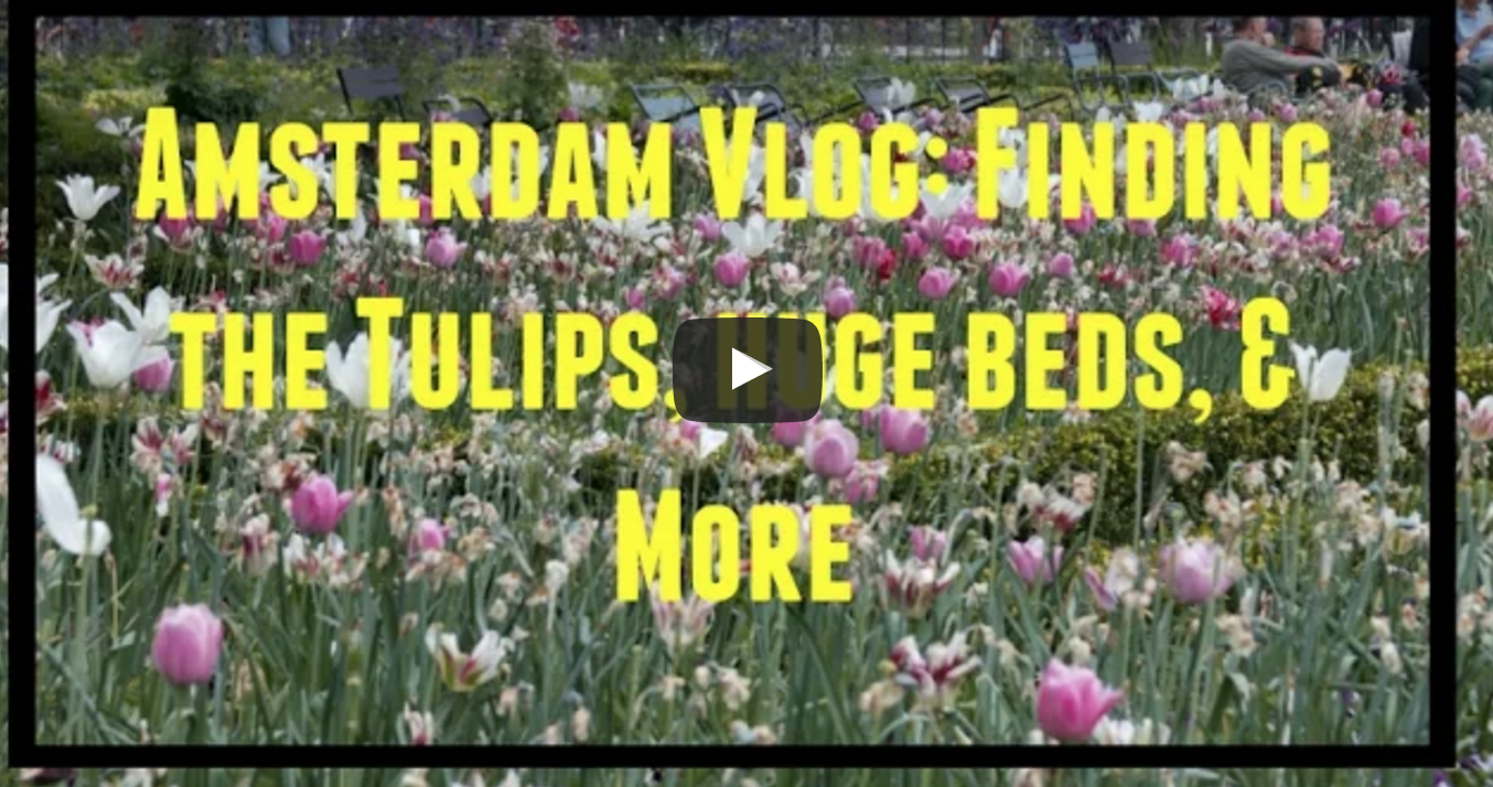 Amsterdam Vlog: Finding the Tulips, Huge Beds, More!
