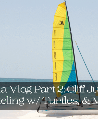 The Hat Logic - Anguilla Vlog Part 2: Cliff Jumping, Snorkeling w/ Turtles, & MORE!!