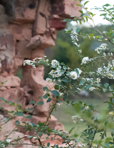 Halloween Preparation w/ Alice and Olivia